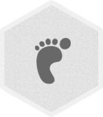 emsolicon1